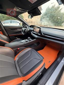 شانجان يوني في